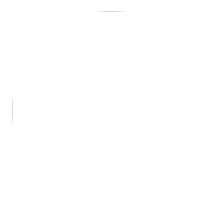 webIcon