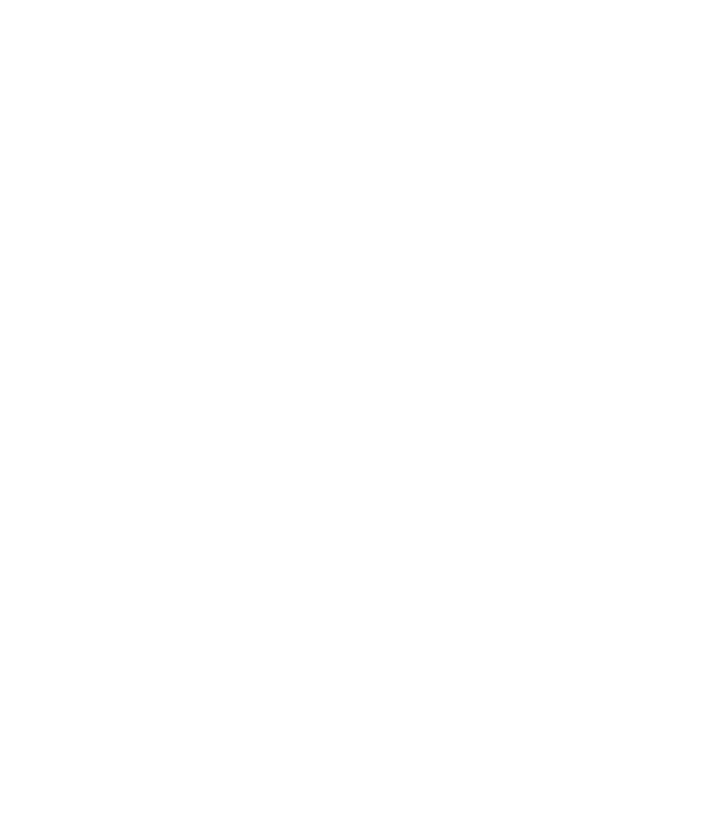 webIcon