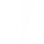 webIcon