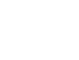 webIcon